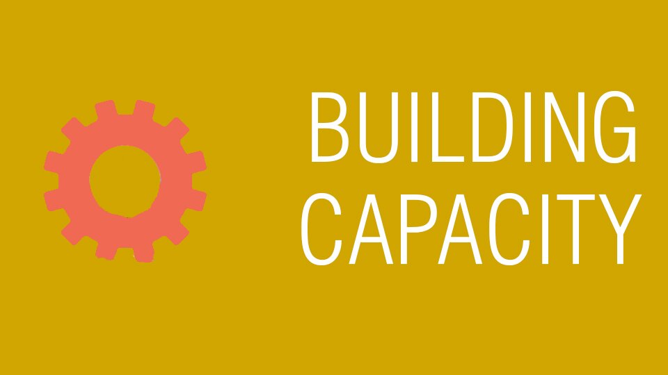 Category: Building capacity